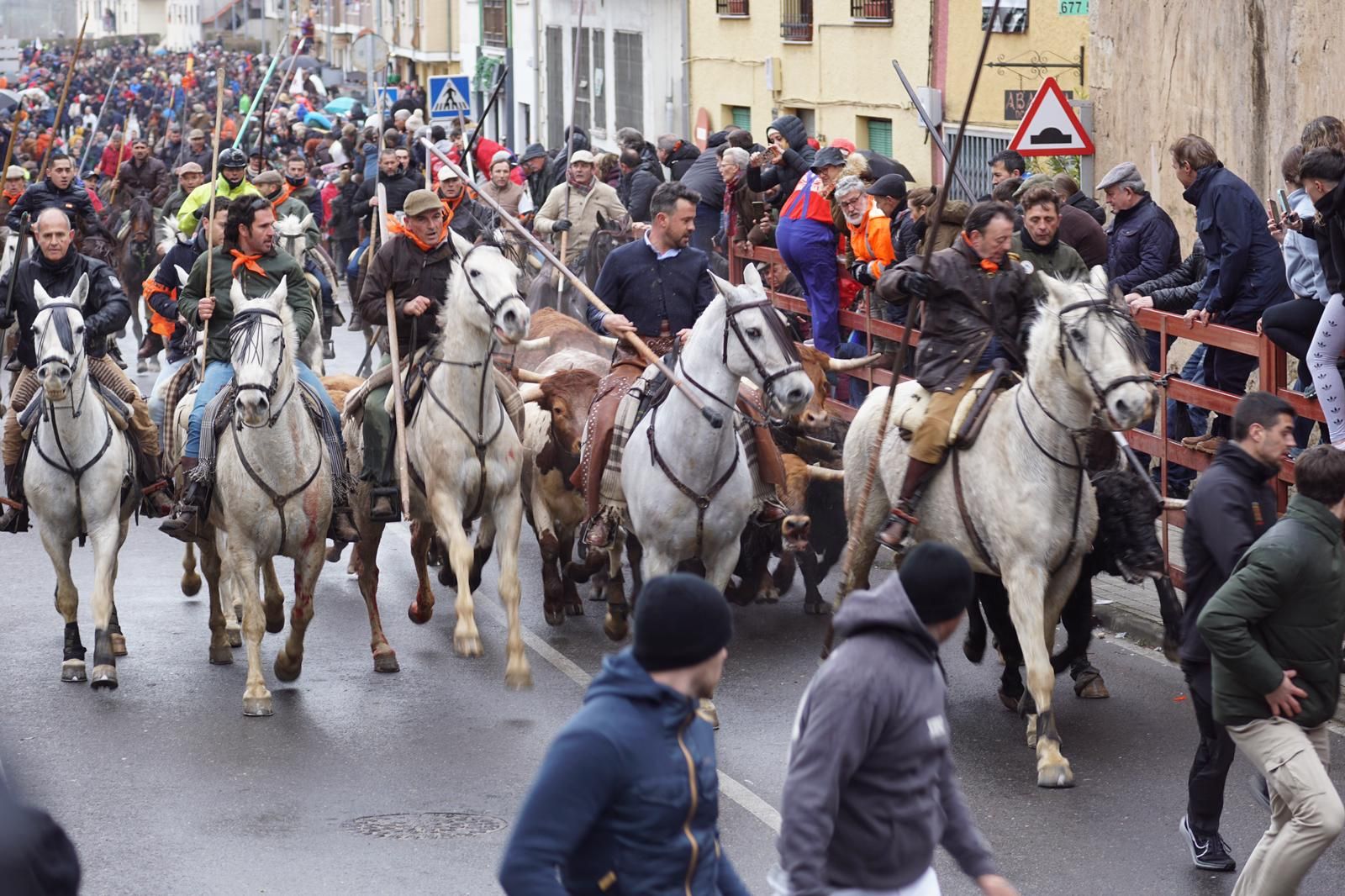 Ambiente en el encierro a caballo del Carnaval del Toro de Ciudad Rodrigo 2024
