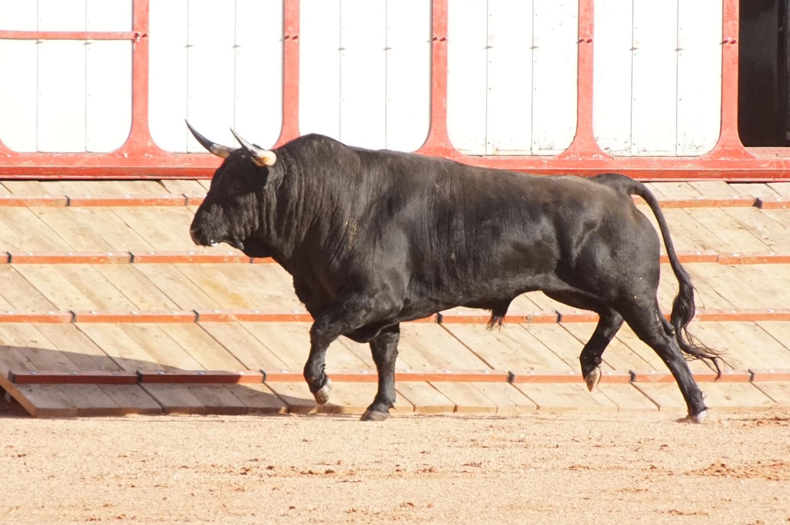 whatsapp-image-2023-09-08-at-19-29-33