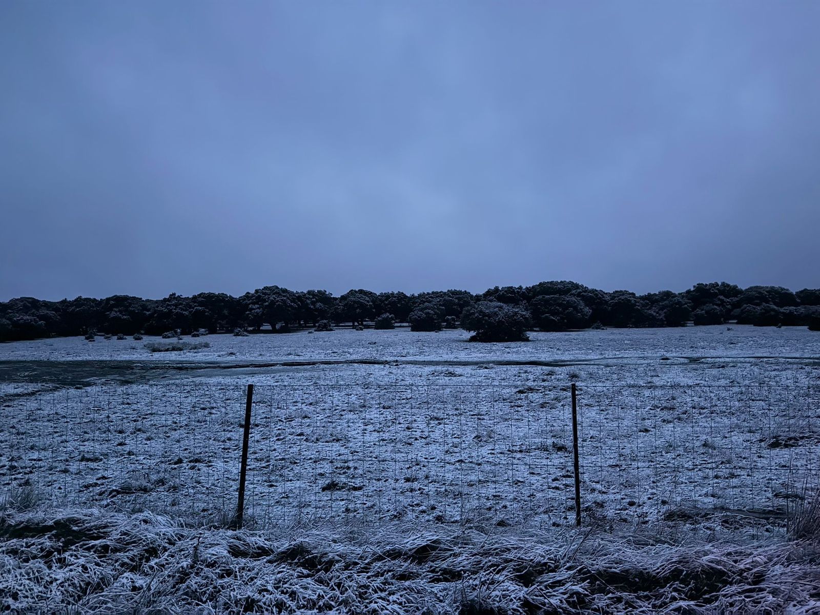 Caen los primeros copos de nieve