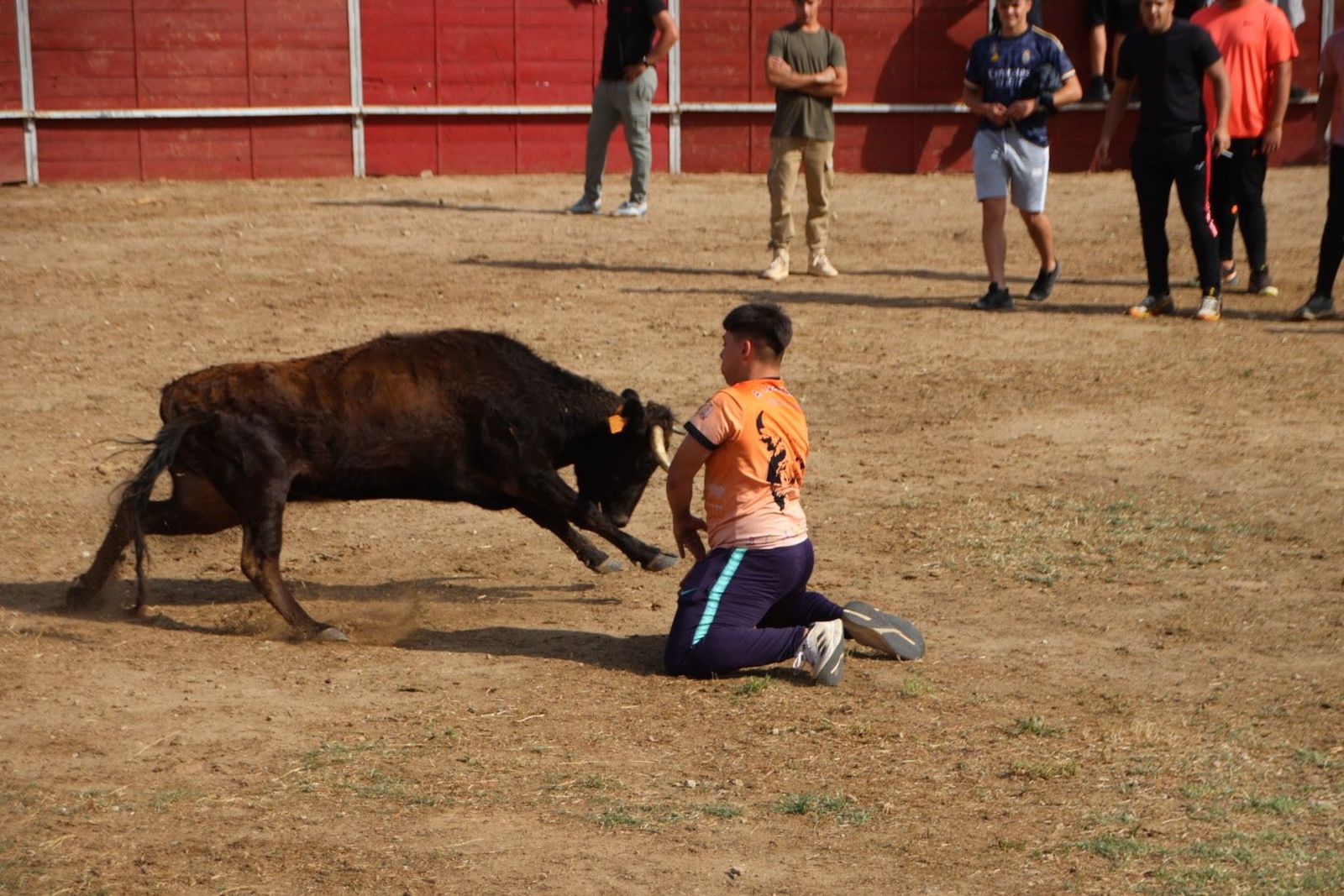 Villamayor capea popular con vaquillas