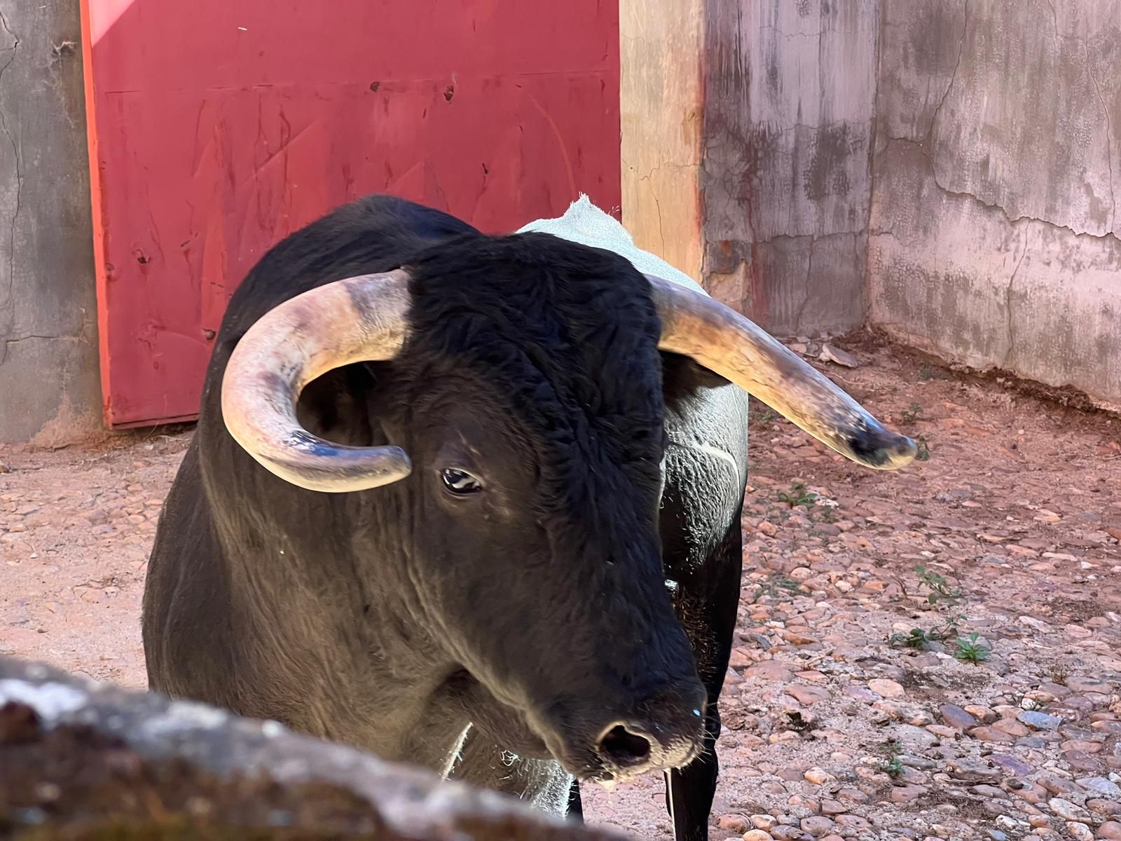 whatsapp-image-2022-09-21-at-12-24-10-pm