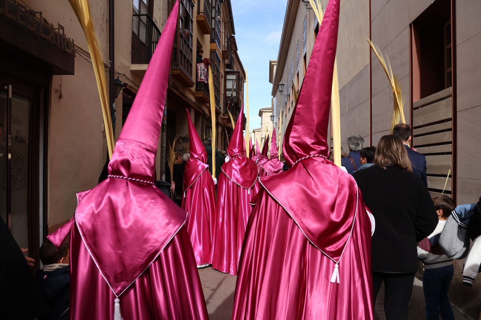 GALERÍA | Revive en imágenes la procesión de La Borriquita