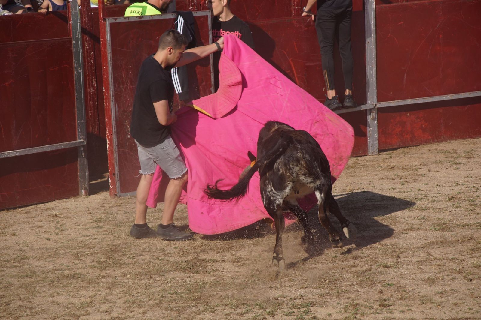 capea-fiestas-de-carrascal-de-barregas-7