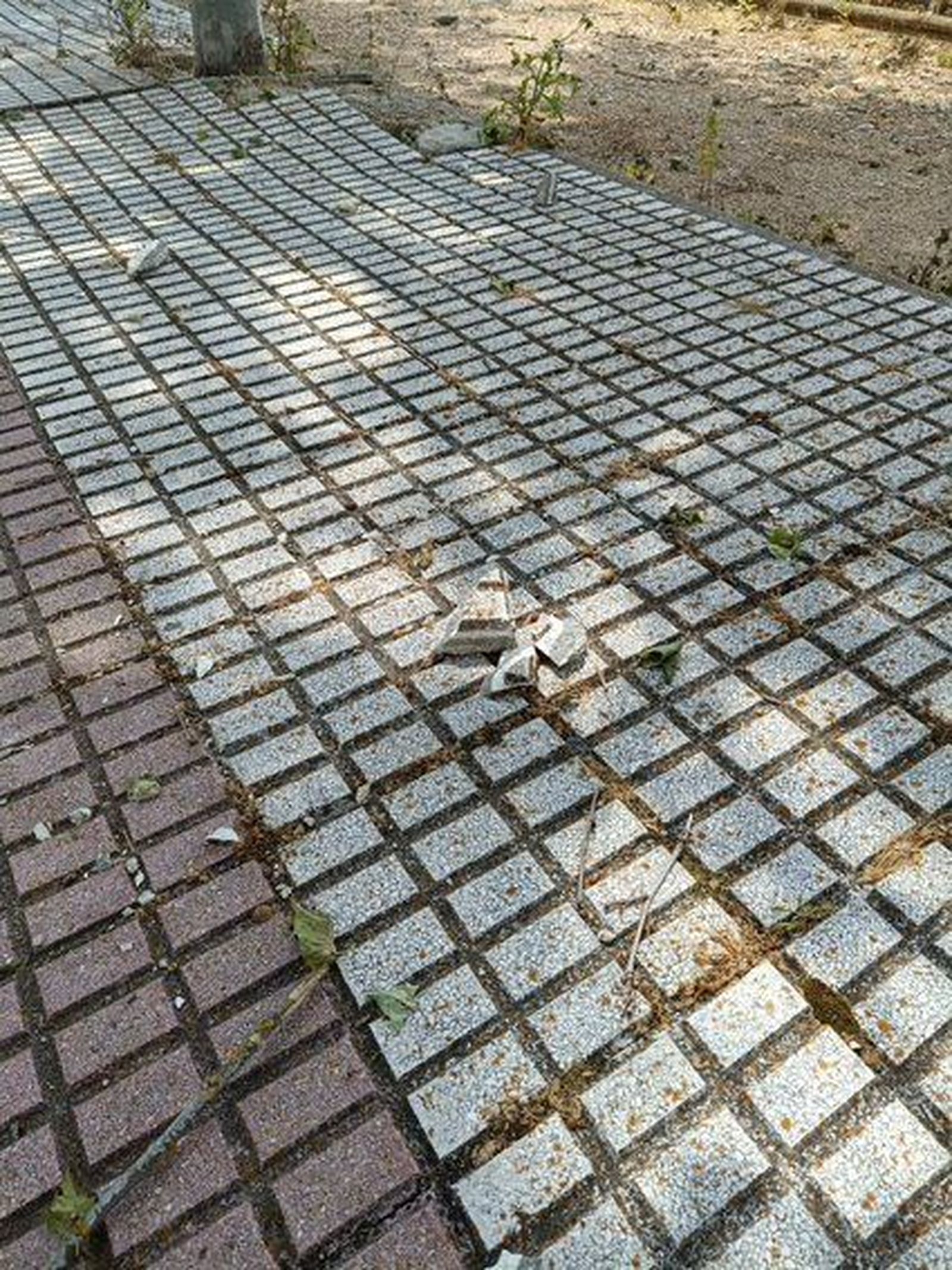 52f1928d-f0c5-4d93-8e1f-88afb6991cba