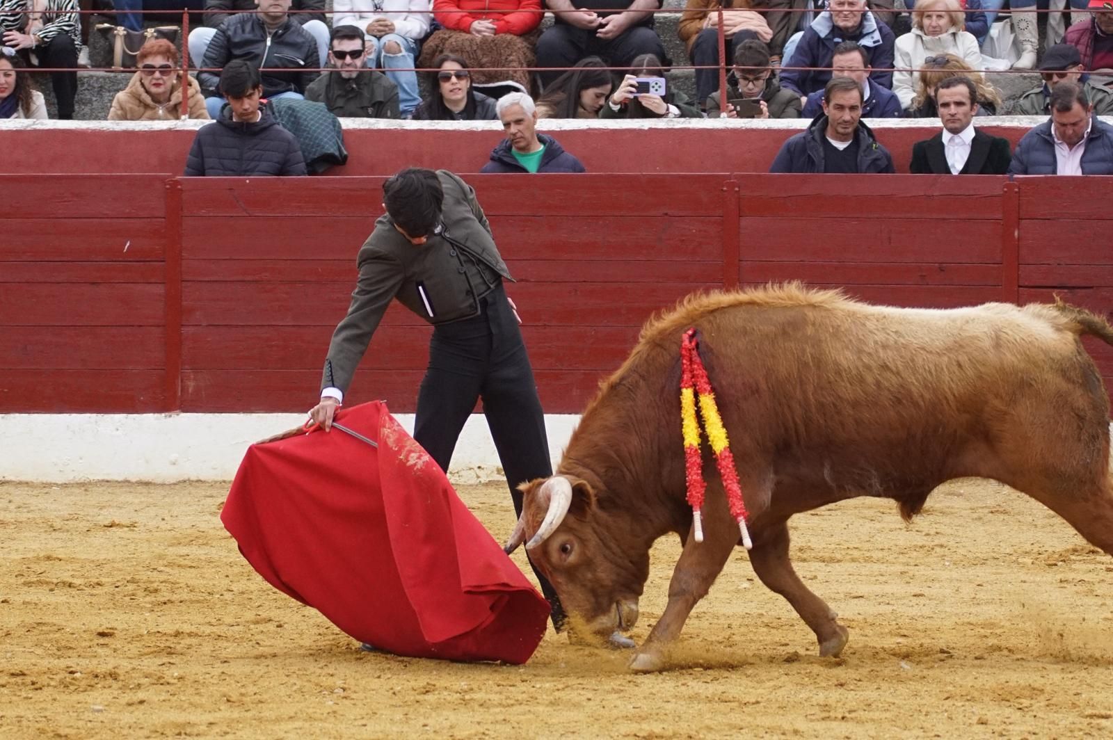 Festival taurino en Villoria
