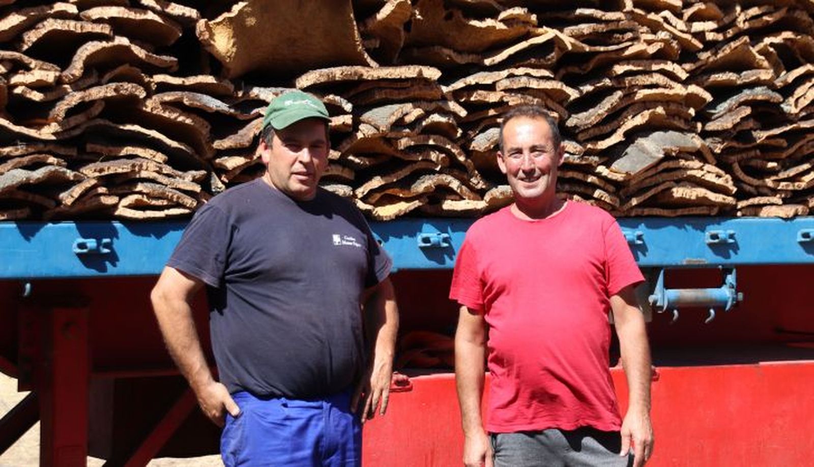 Saca de corcho Foto S24H (4)