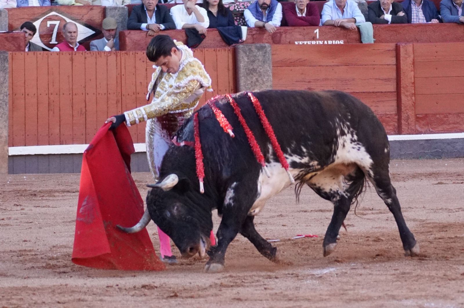 La corrida concurso para despedir la feria con Morante, Talavante y Borja Jiménez: imágenes de los mejores momentos en La Glorieta