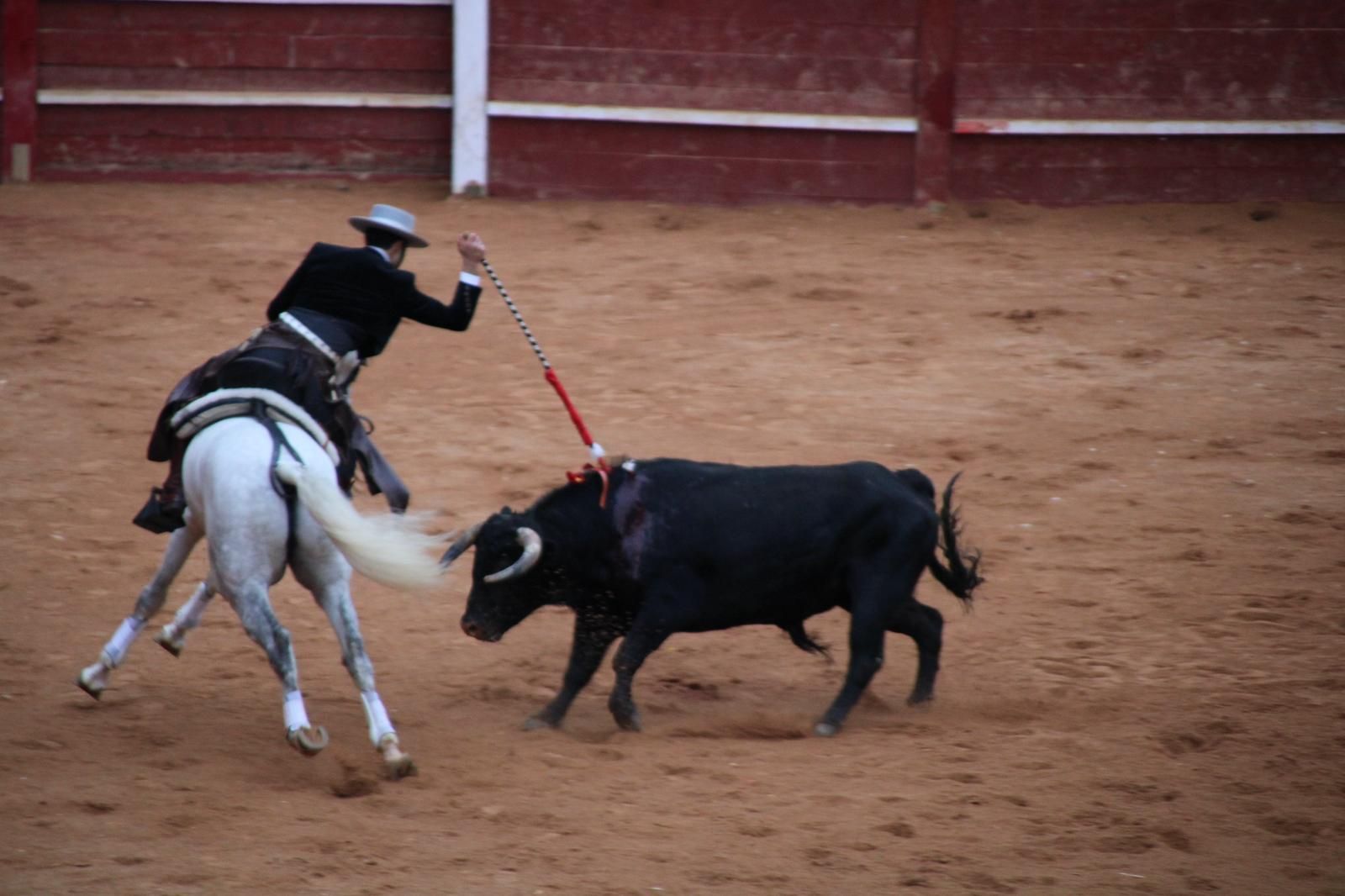 whatsapp-image-2025-03-02-at-18-55-55