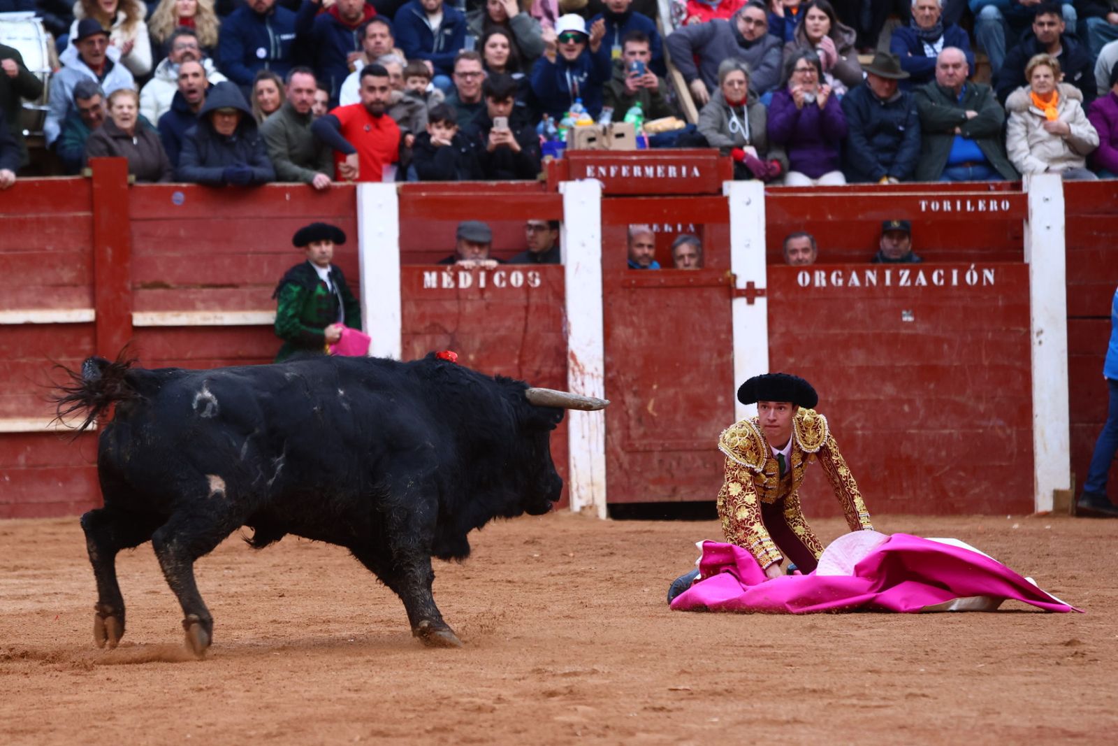 Novillada con picadores de lunes en el Carnaval del Toro de Ciudad Rodrigo 2026