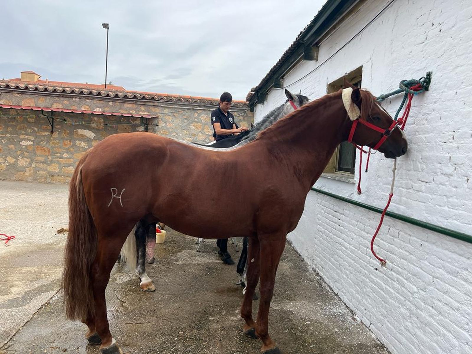 whatsapp-image-2023-09-09-at-12-19-18-4