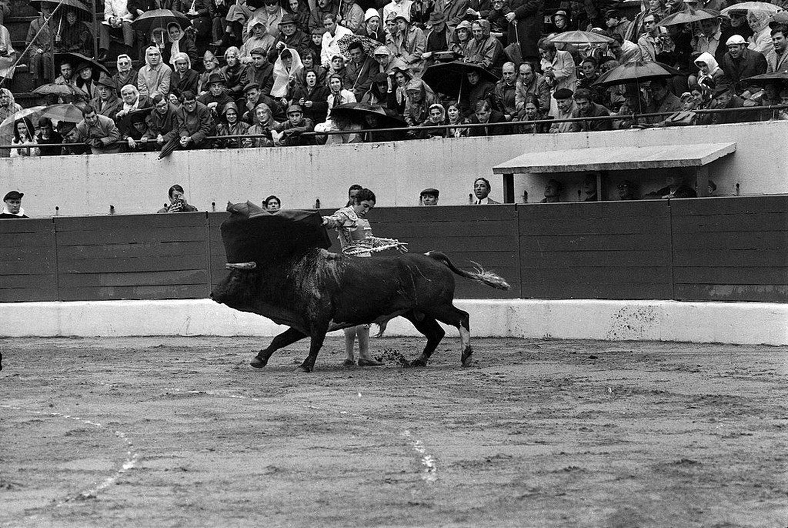 Paco Camino en una corrida de toros en Francia | Fotografía de los fondos André Cros (archivo municipal de Toulouse) Paco Camino en una corrida de toros en Francia | Fotografía de los fondos André Cros (archivo municipal de Toulouse)