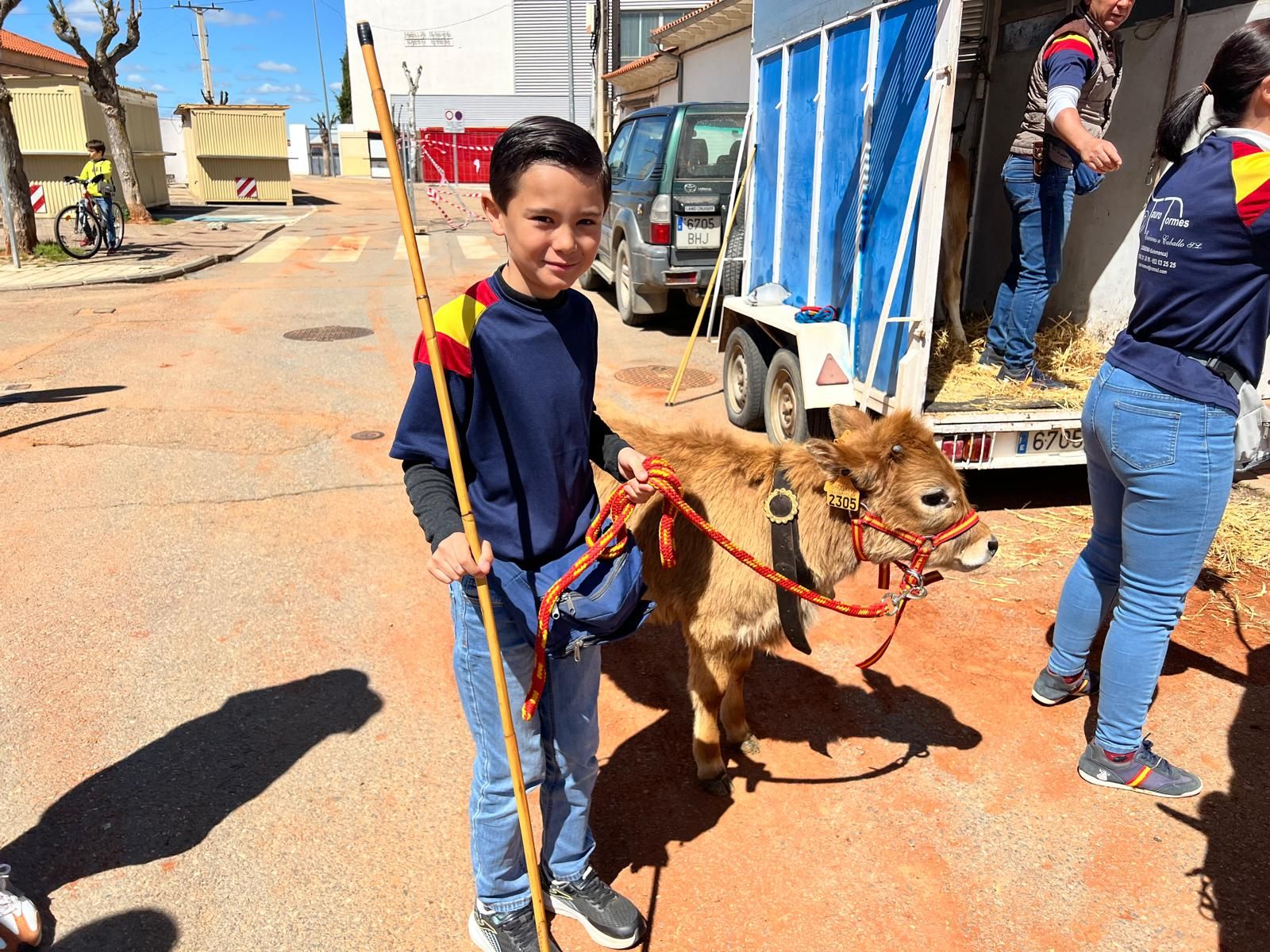 mini-bueyes-en-elas-fiestas-de-doninos-2025-11