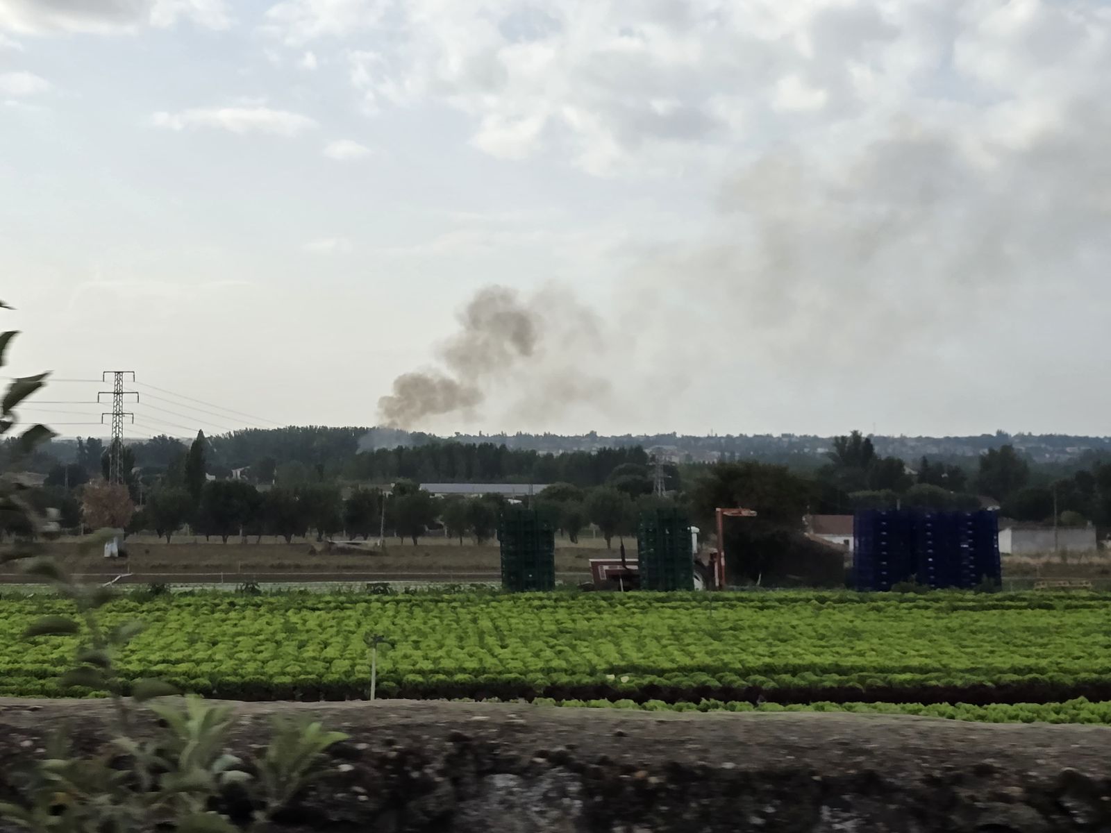 whatsapp-image-2024-08-29-at-10-44-18-2