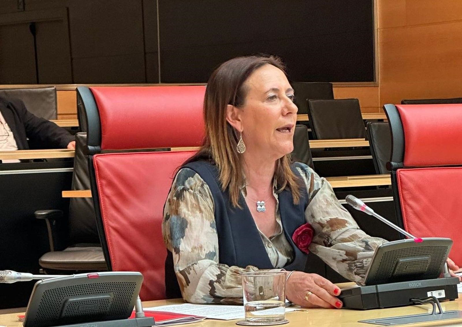 Foto Rosa Rubio. La Armuña Foto Rosa Rubio. La Armuña
