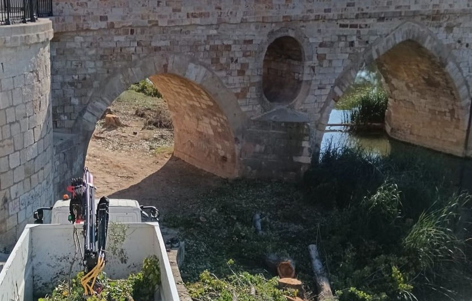 Tala de árboles a los pies del Puente de Piedra