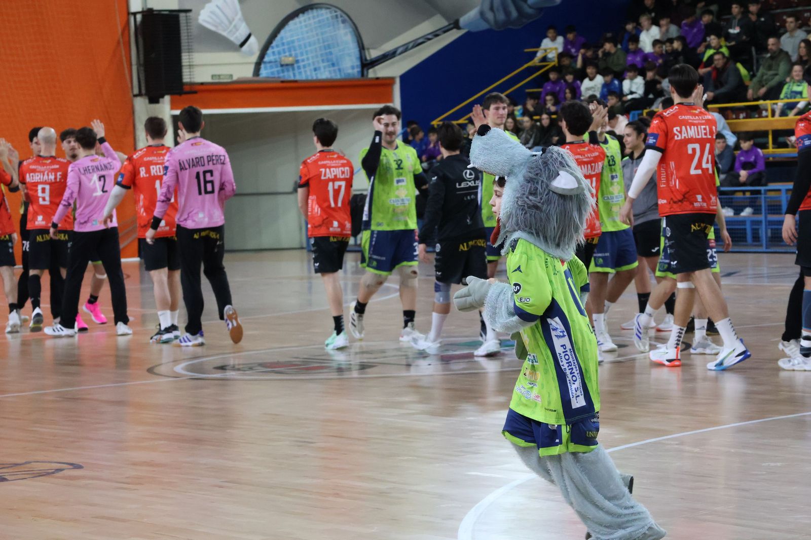 Balonmano Zamora- Ademar León