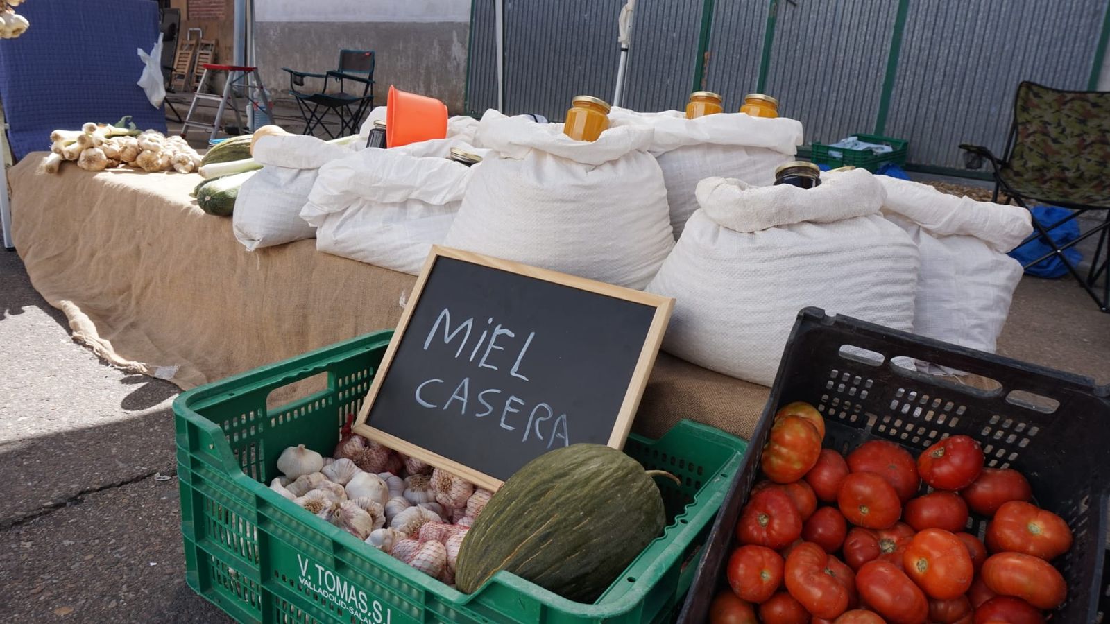 whatsapp-image-2024-09-28-at-14-54-02-1