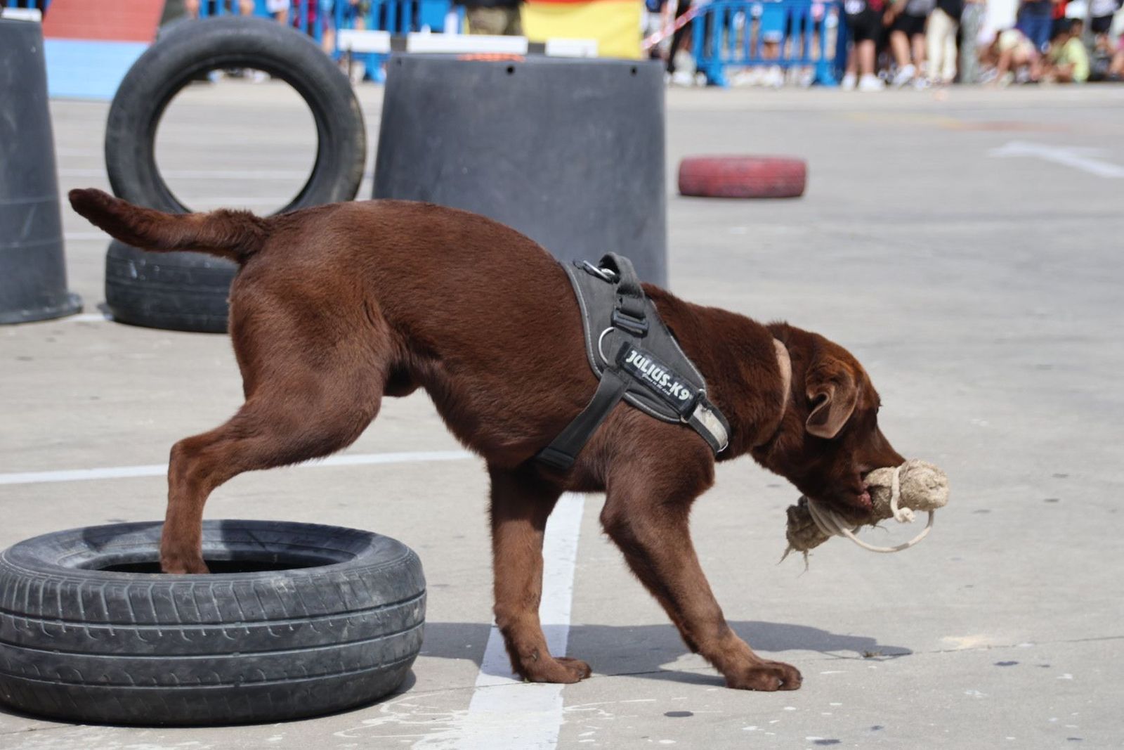 20240606111110-img-5556