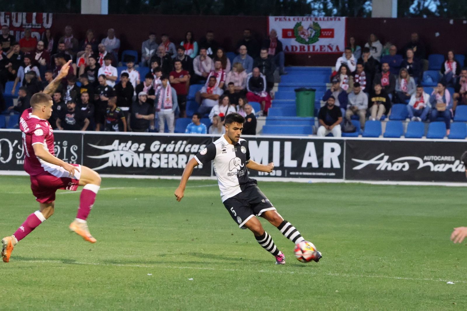 20230902195128-img-7432