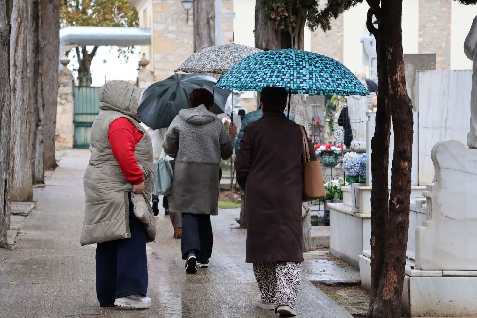 GALERÍA | La lluvia no detiene la tradición: los zamoranos acuden al cementerio para recordar a sus fallecidos