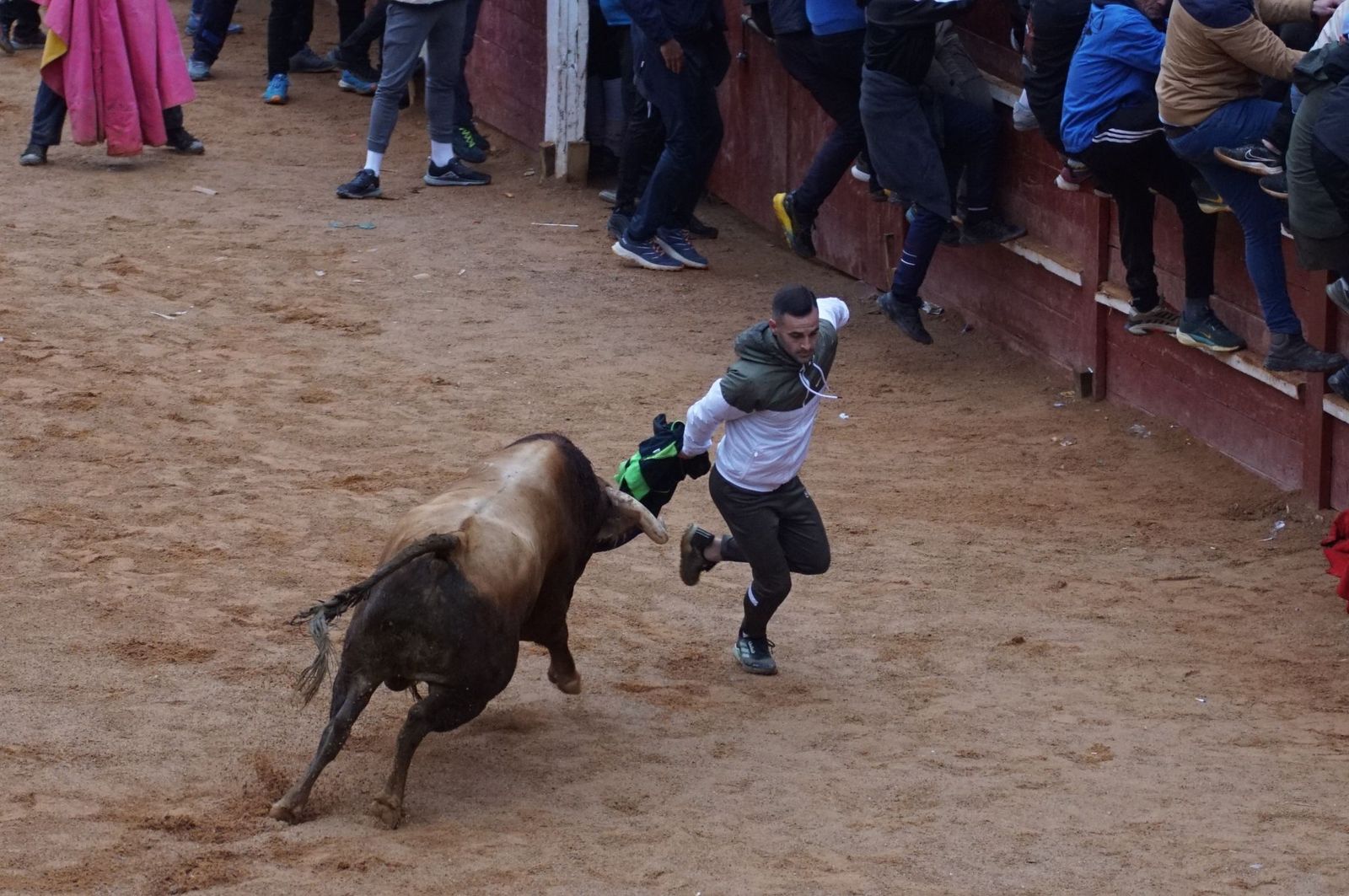 whatsapp-image-2025-03-03-at-14-50-32