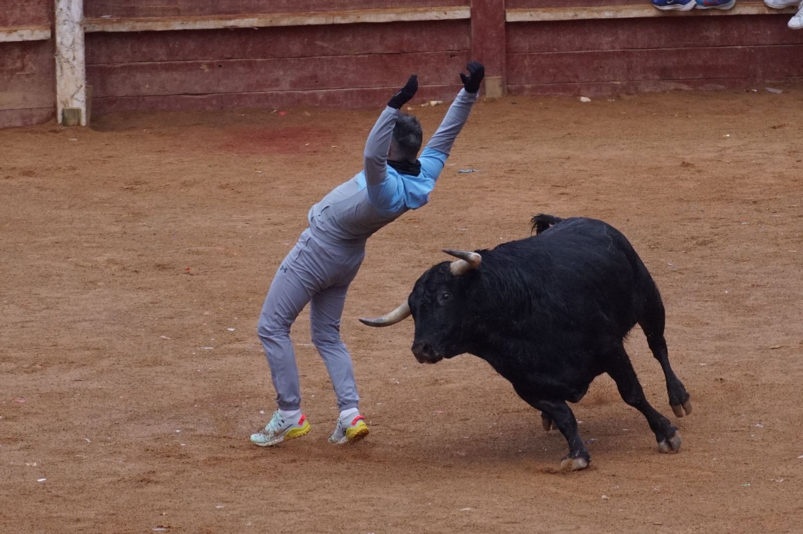 Capea matinal de domingo de carnaval en Ciudad Rodrigo (54).jpeg