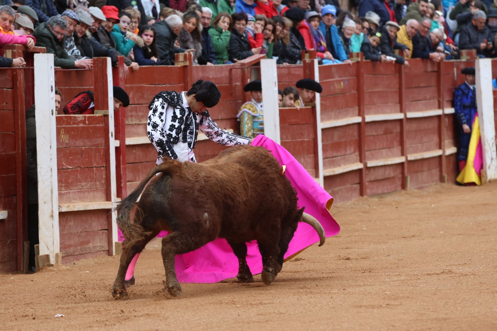 Novillada con picadores de lunes en el Carnaval del Toro de Ciudad Rodrigo 2026