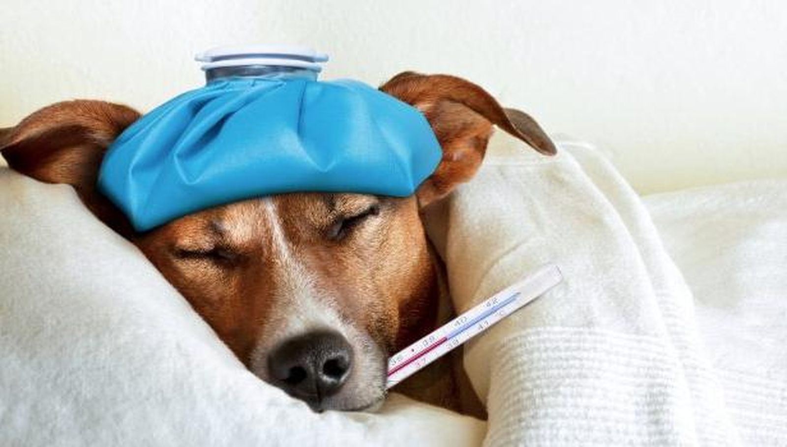 Captura de pantalla 2019 11 29 a las 12.51.32