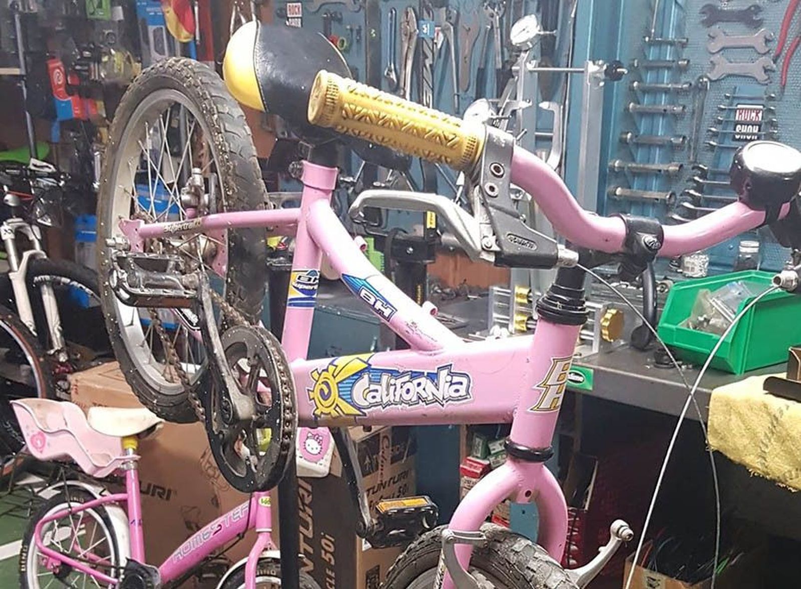 126180536 1542014262660294 7936299763413110226 o