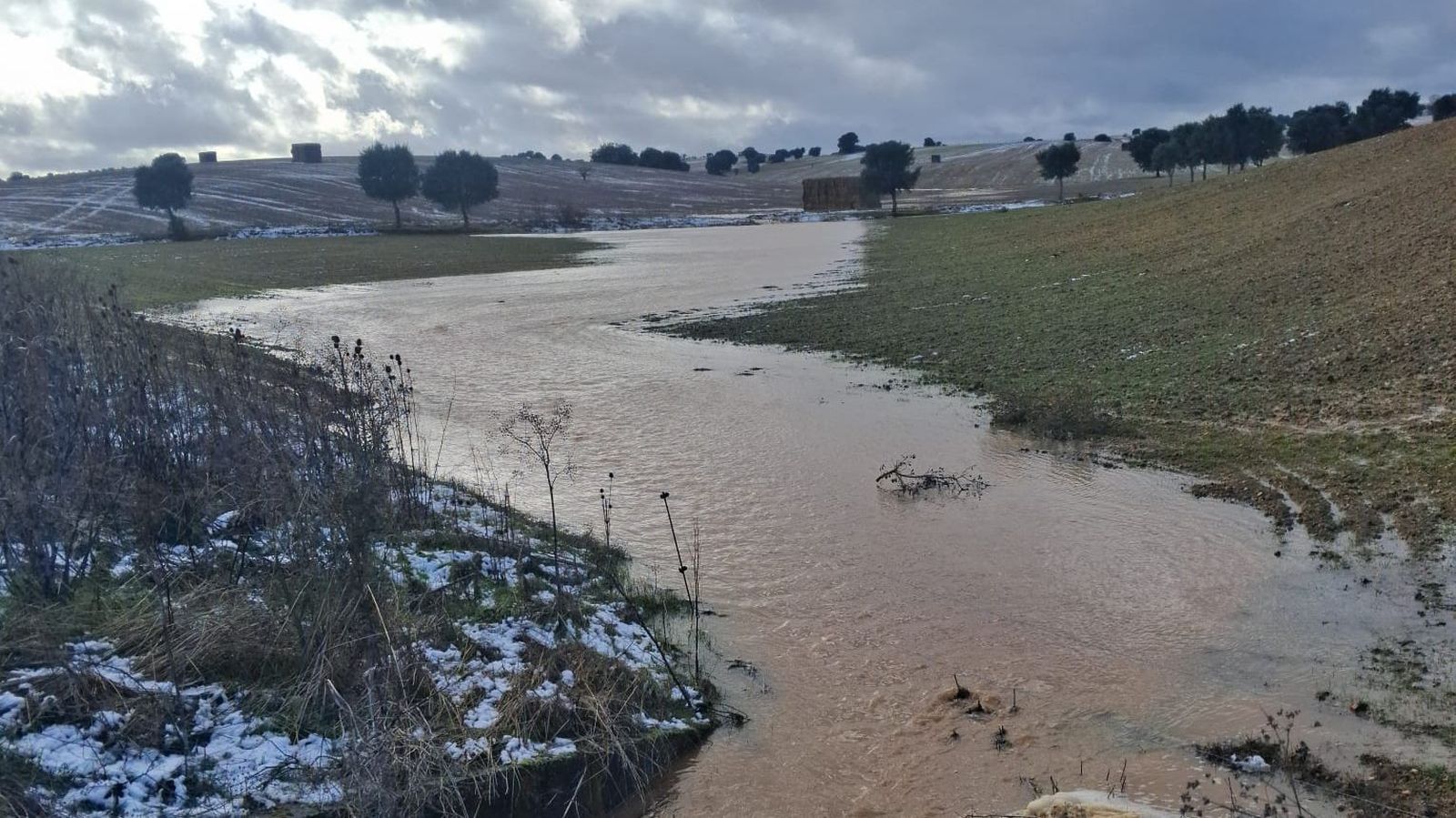 La parcela de El Cubo del Vino inundada