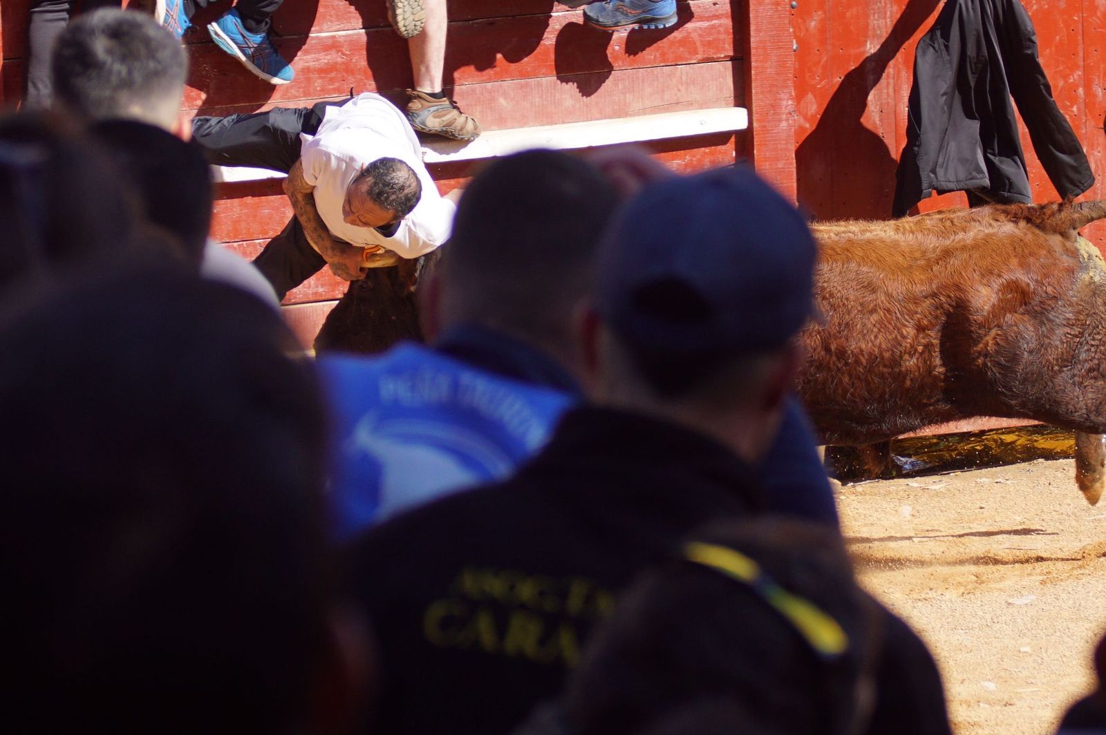 encierro-capea-y-ambiente-en-ciudad-rodrigo-en-este-lunes-de-carnaval-14