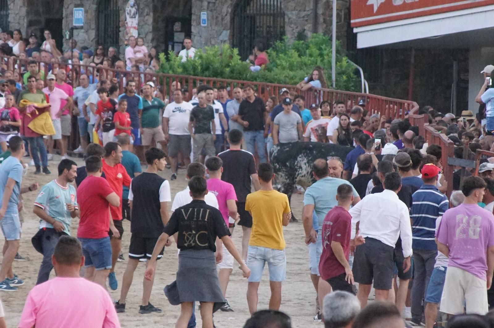 Pasión, tradición y calle: así se ha vivido en Ledesma el II Toro de Cajón