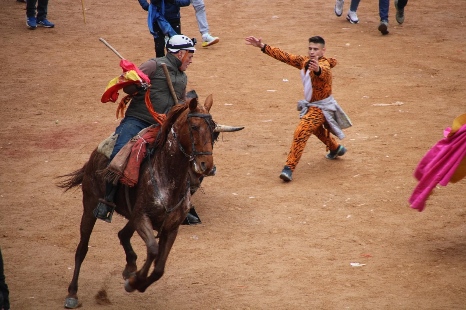 Encierro a Caballo en el Carnaval del Toro 2026 de Ciudad Rodrigo