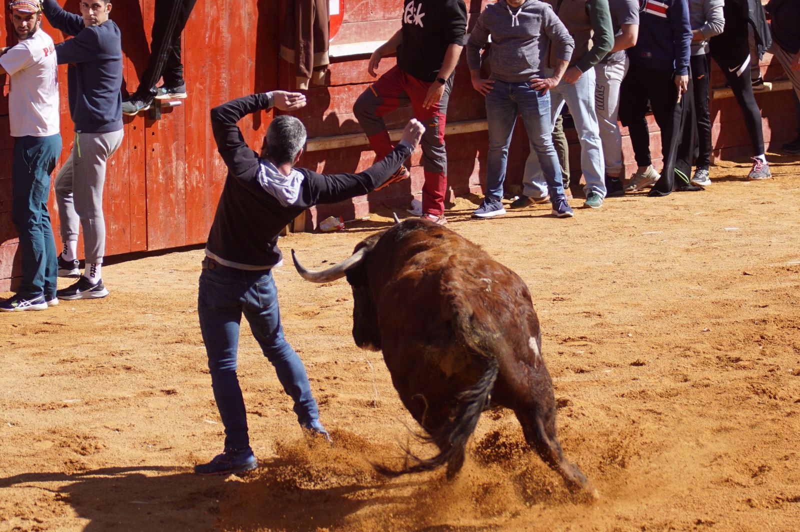 encierro-capea-y-ambiente-en-ciudad-rodrigo-en-este-lunes-de-carnaval-18