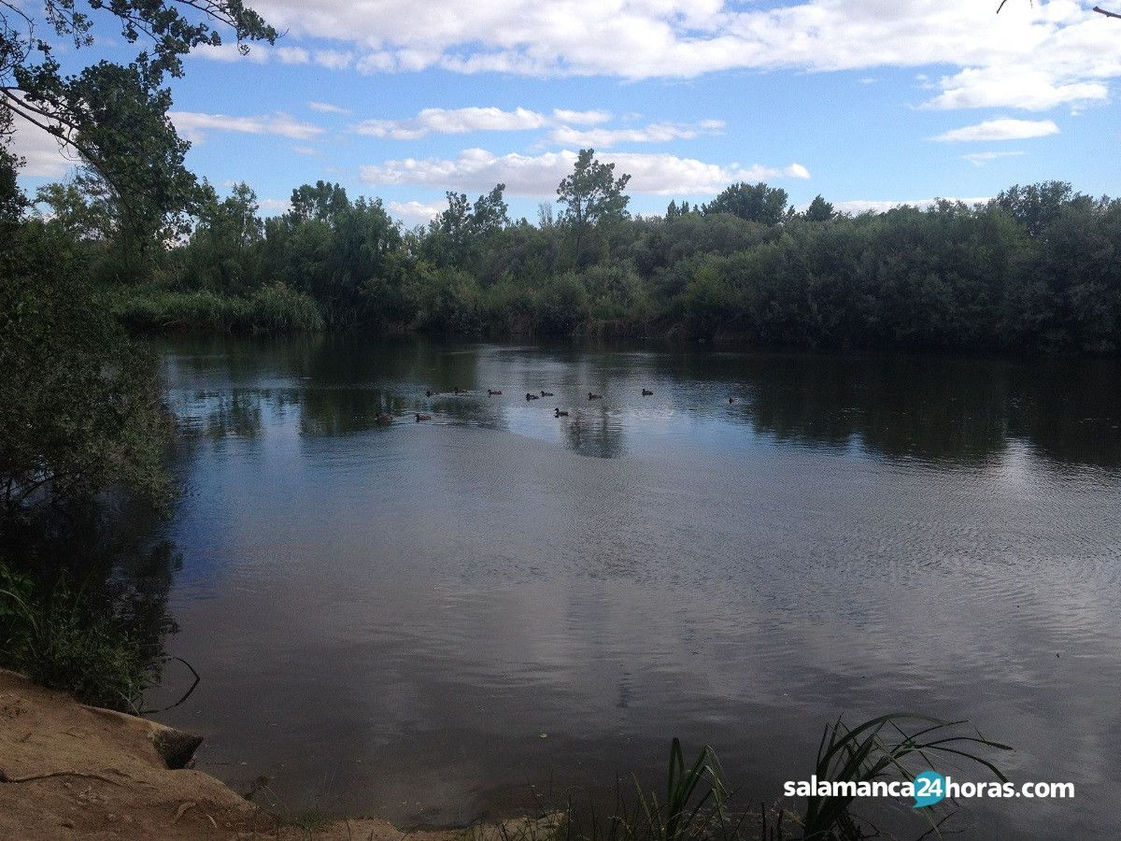 Parque fluvial La Aldehuela (17)