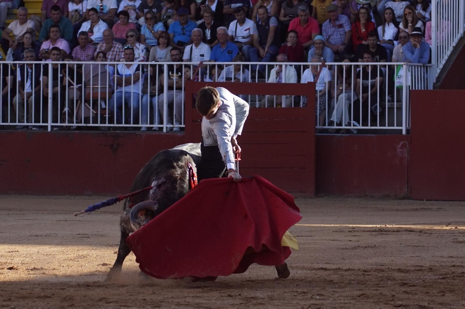 whatsapp-image-2024-09-07-at-20-48-33