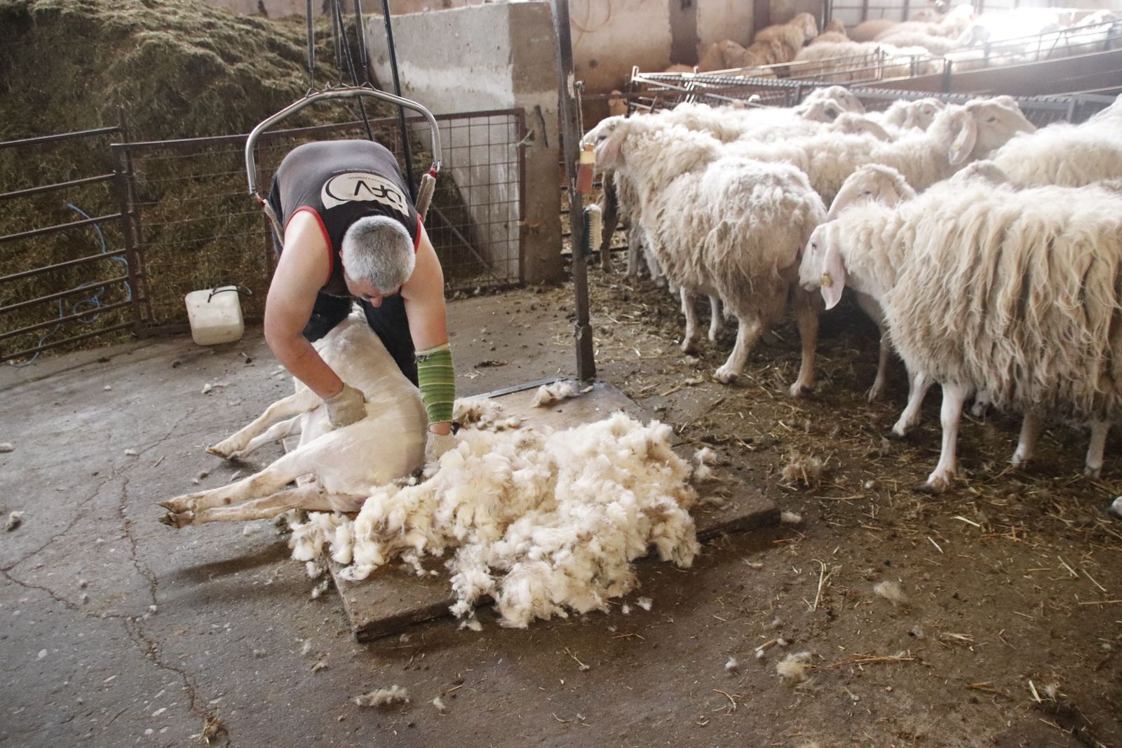 20220520103150-mg-8478