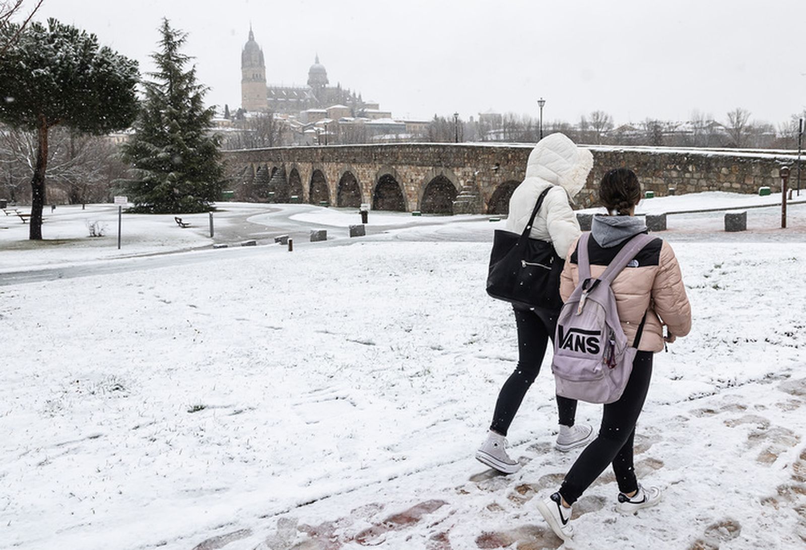 Temporal de nieve en la provincia de Salamanca, nevada 28 de enero de 2026