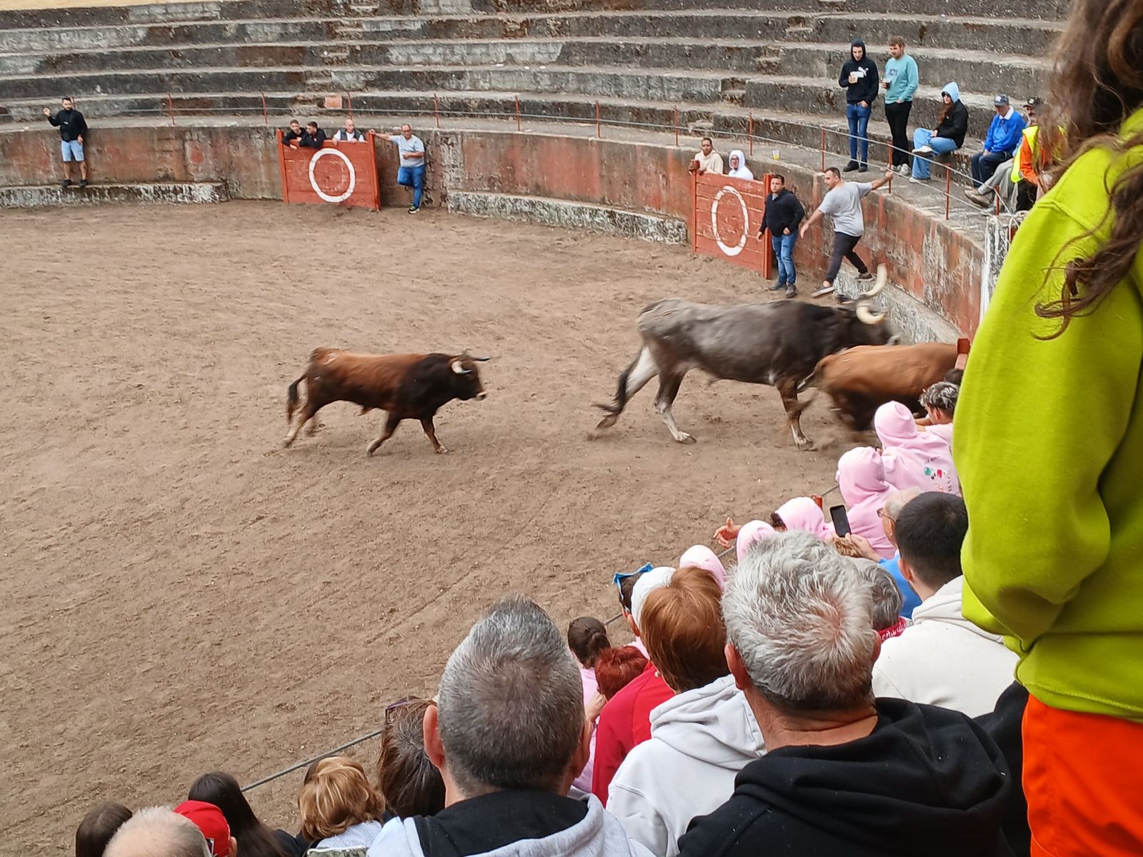 Segundo encierro con novillos de Valdeflores en Pereña de la Ribera