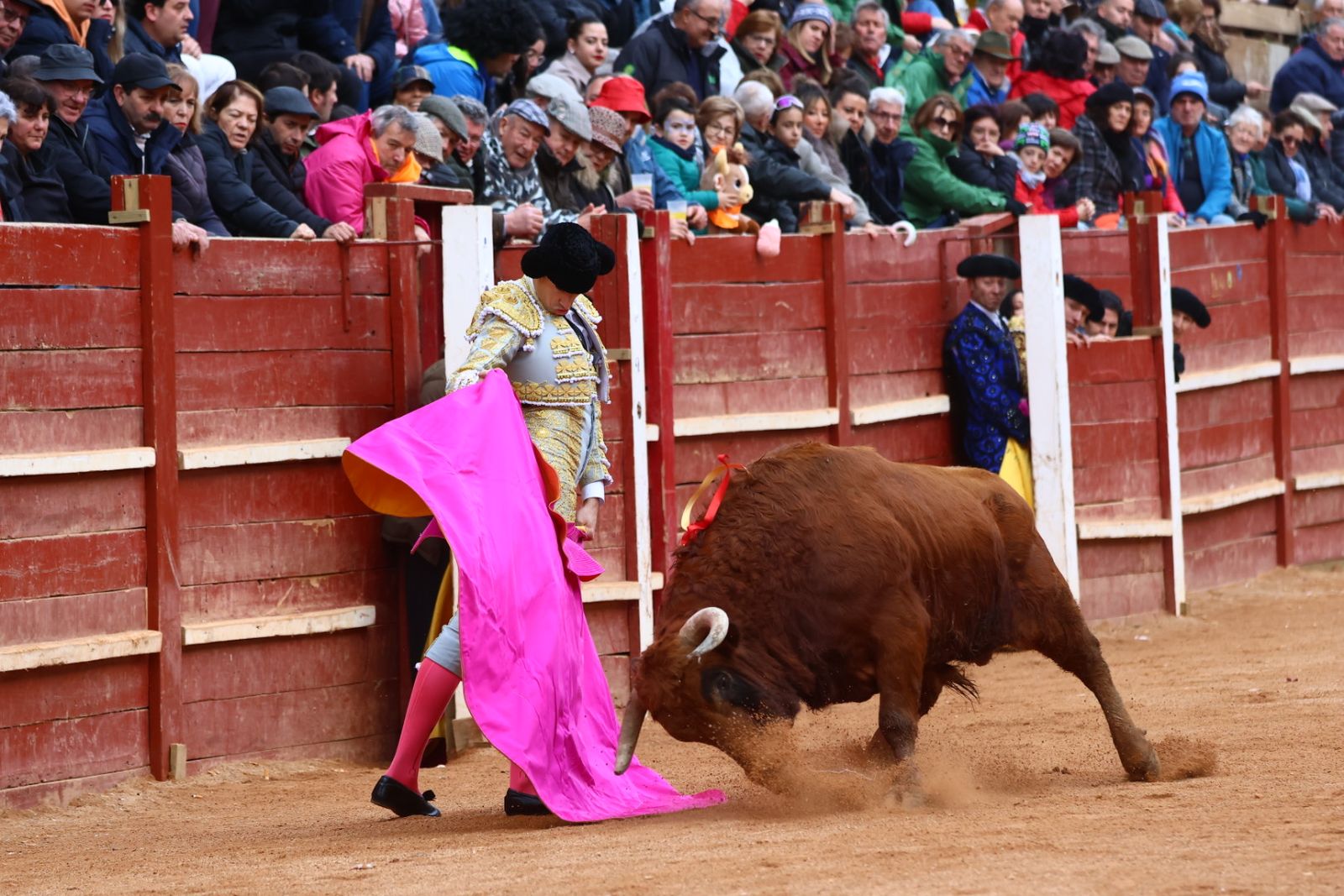 Novillada con picadores de lunes en el Carnaval del Toro de Ciudad Rodrigo 2026