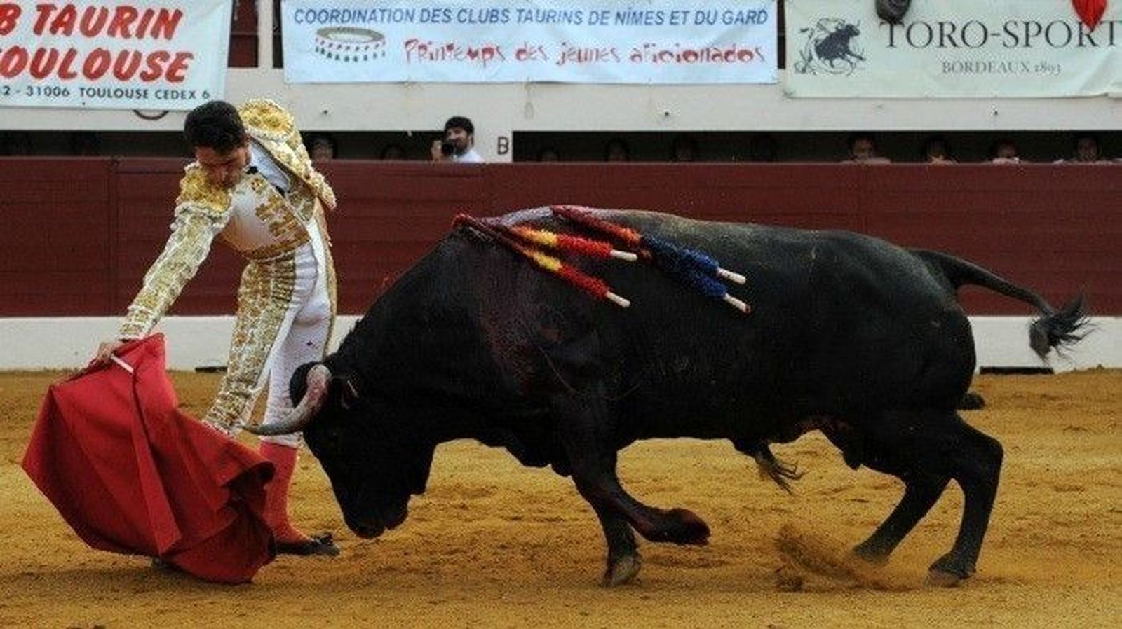 Joselillo, vuelta al ruedo con bravo 'La Cruz'