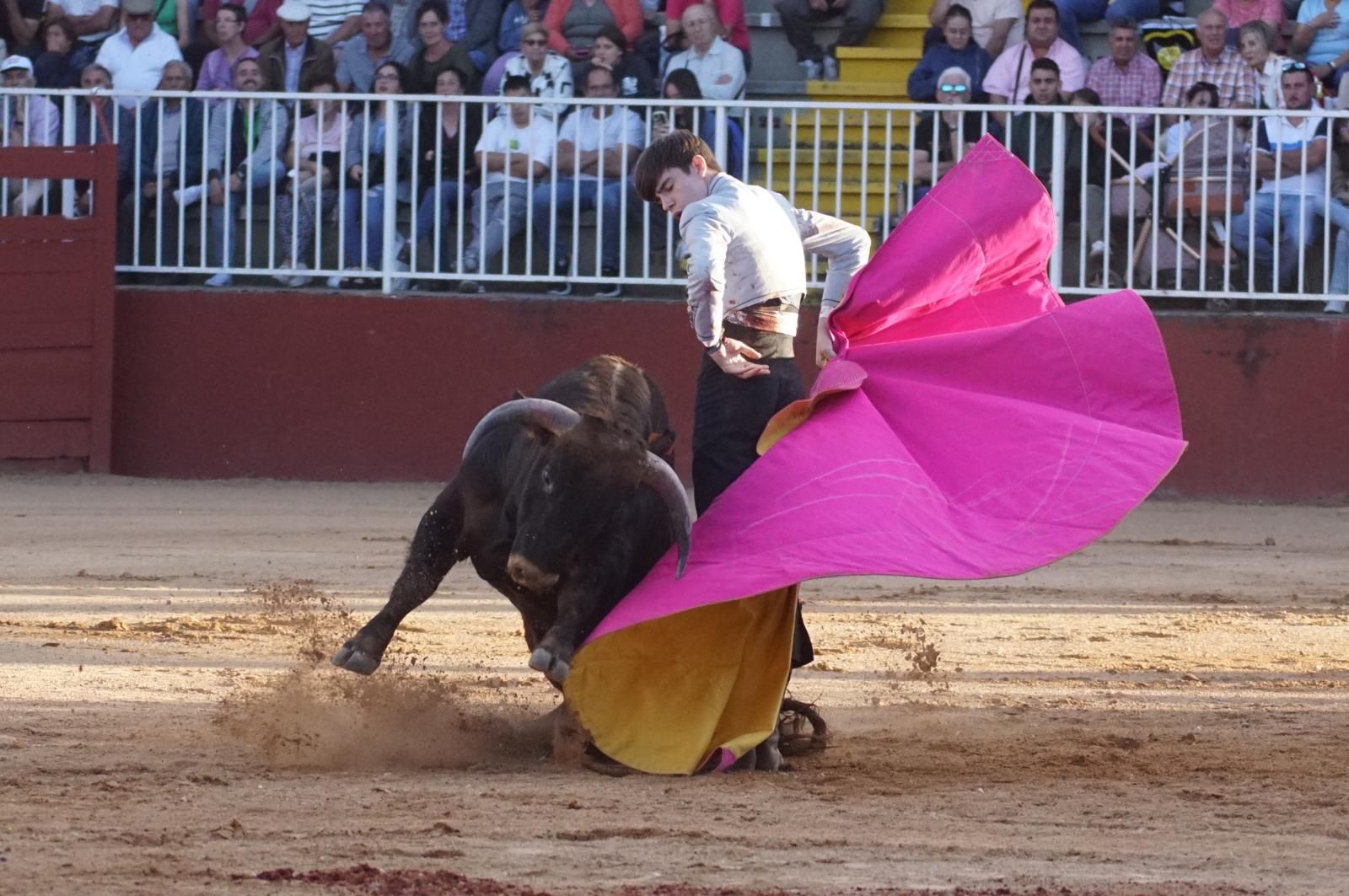 whatsapp-image-2024-09-07-at-20-49-10-8