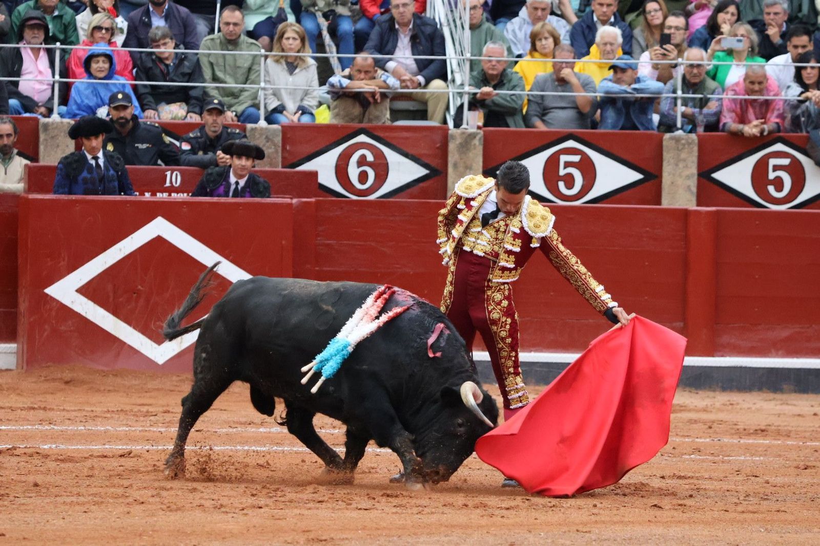 20230916185010-img-5608