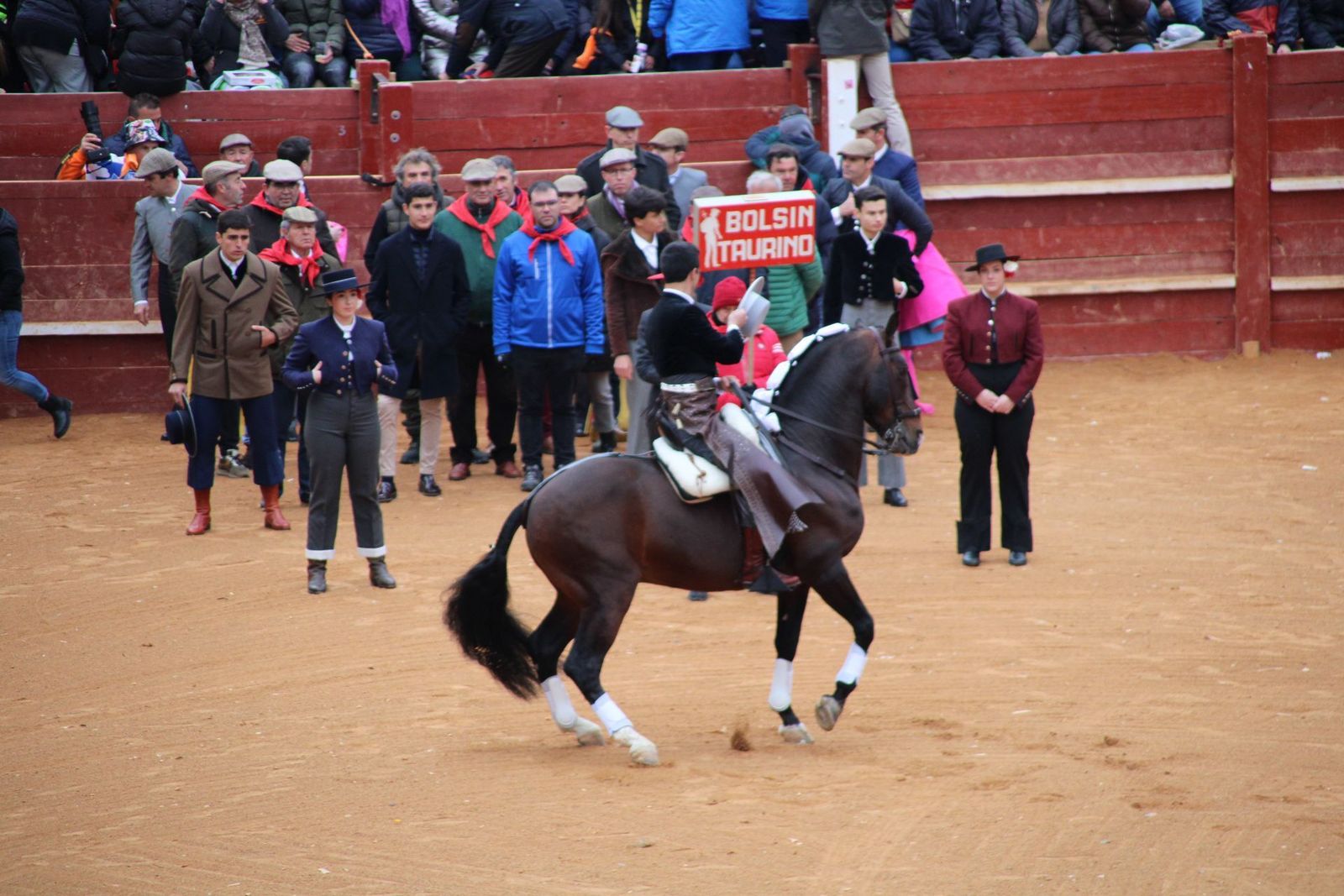 whatsapp-image-2025-03-02-at-16-55-45-1