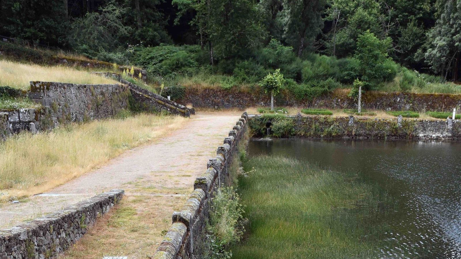 El ángulo noreste del estanque colmatado de sedimentos que hace años que no se vacían en el Bosque de Béjar El ángulo noreste del estanque colmatado de sedimentos que hace años que no se vacían en el Bosque de Béjar