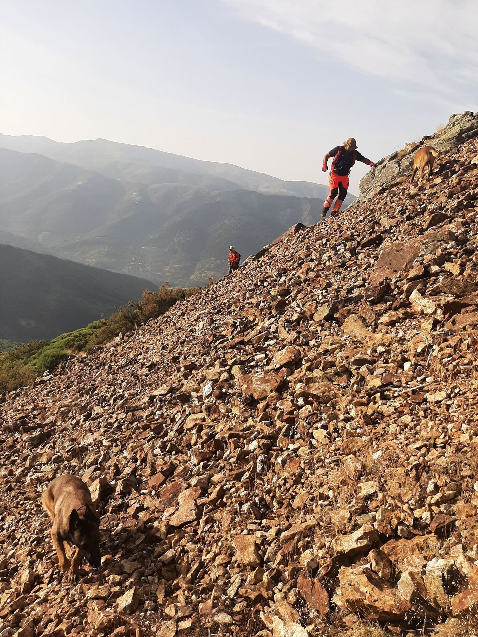 whatsapp-image-2025-06-22-at-18-54-28-2