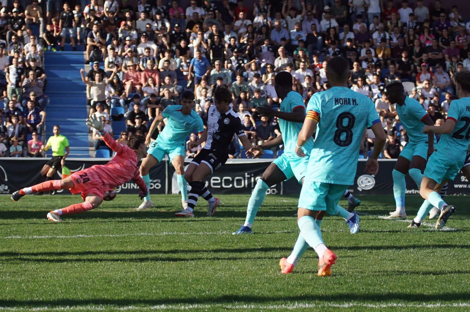 whatsapp-image-2024-04-14-at-19-14-14