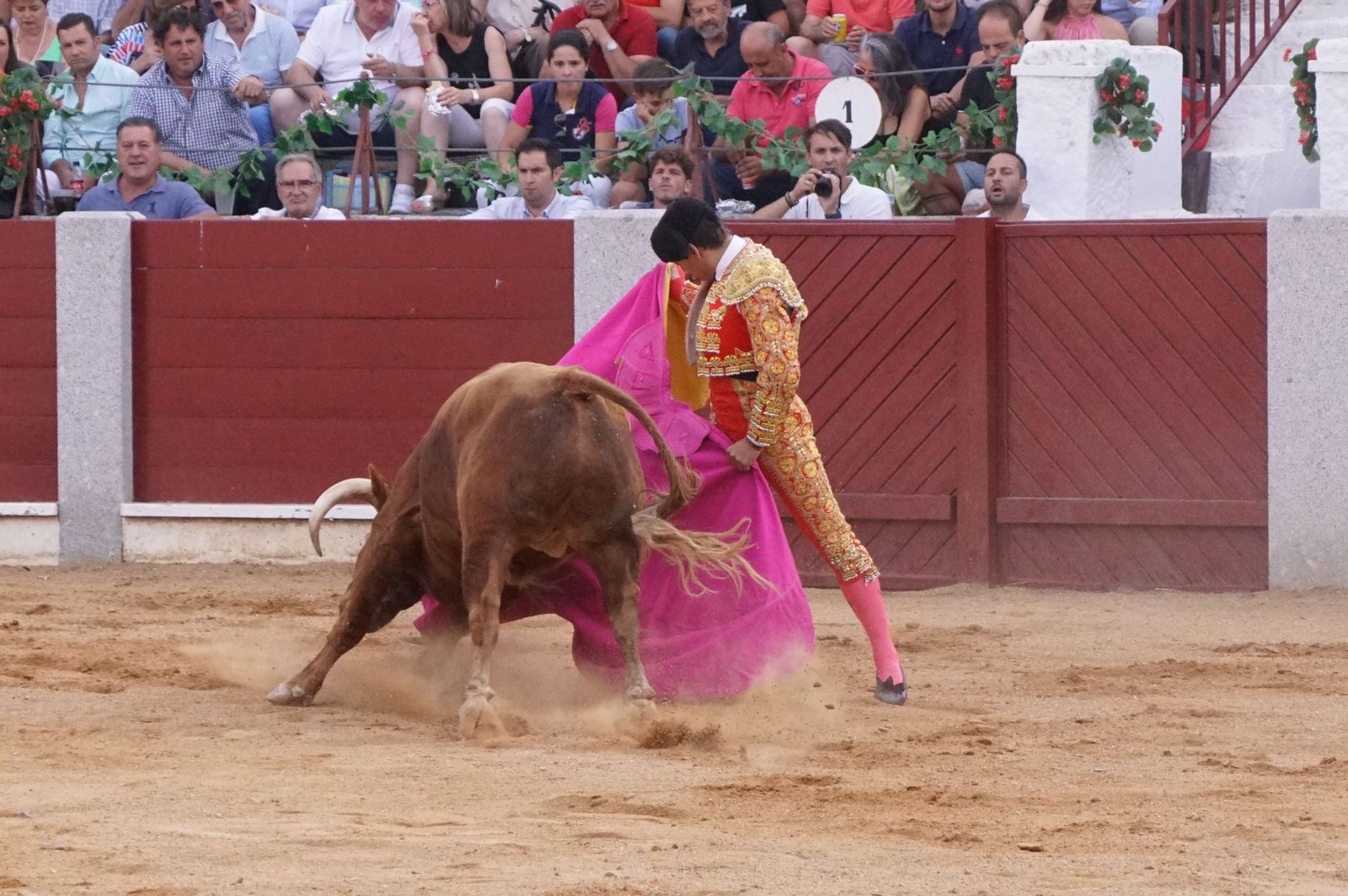 corrida-rejones-guijuelo-2