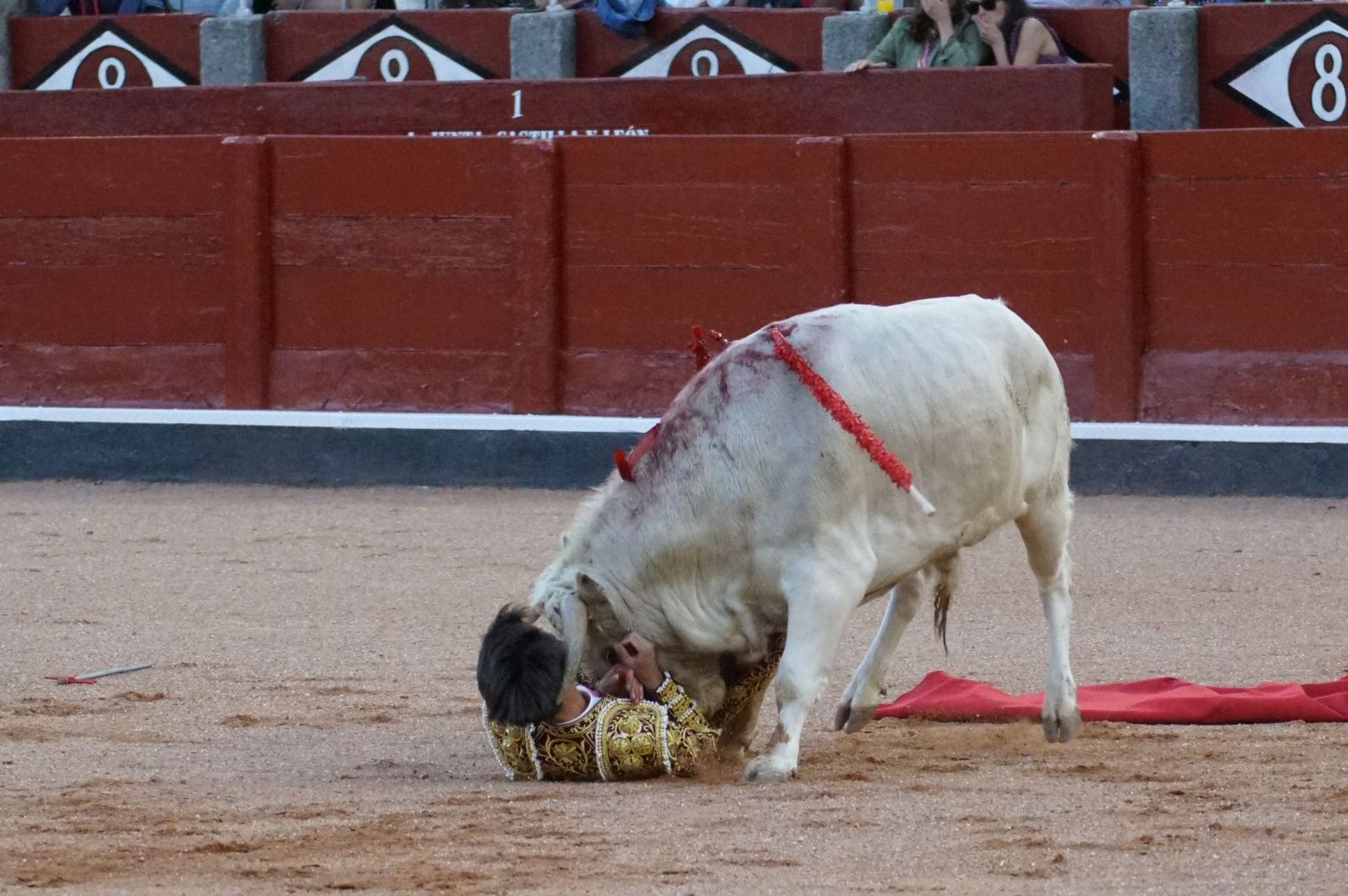 Clase práctica con alumnos de la Escuela de Tauromaquia de Salamanca (Diego Mateos, Noel García y Álvaro Rojo con erales de Esteban Isidro)