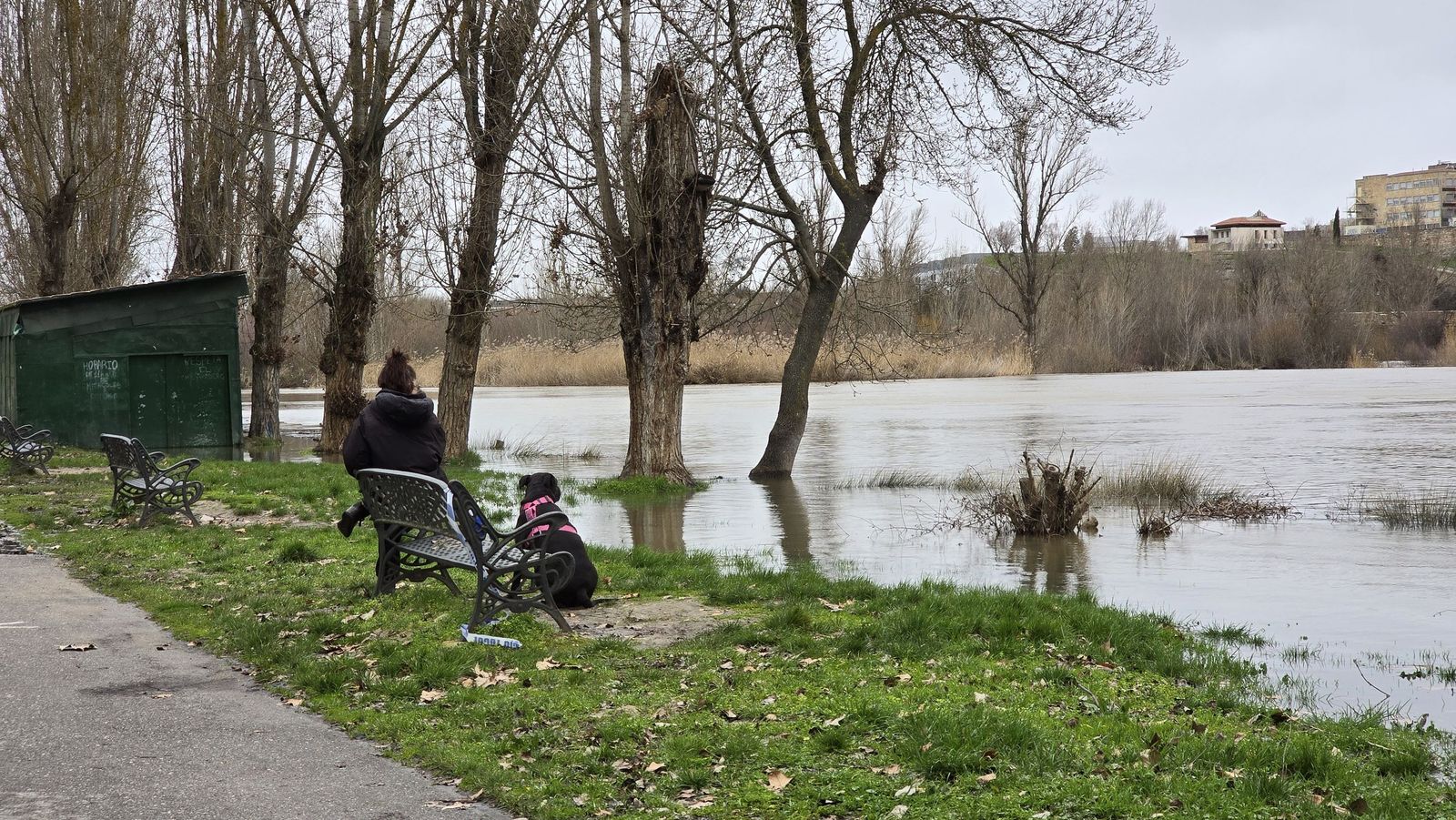 Crecida del rio Tormes a su paso por el Puente Enrique Esteban